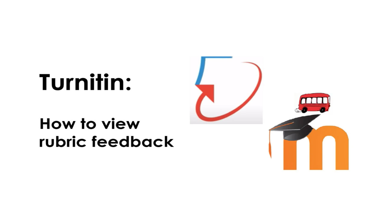 turnitin rubric feedback video tb